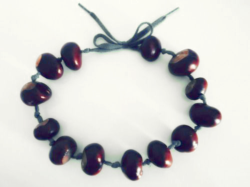 DIY: Autumn Crafts with Conkers | ecogreenlove