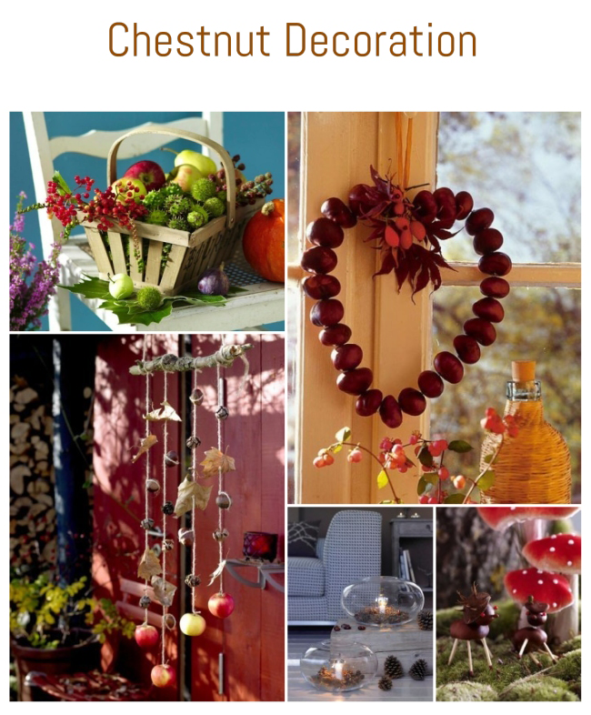 DIY: Autumn Crafts with Conkers – ecogreenlove