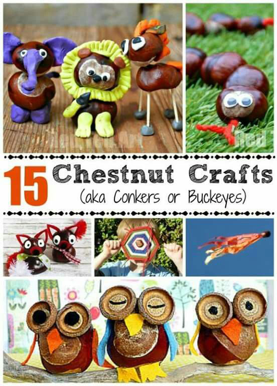 DIY: Autumn Crafts with Conkers – ecogreenlove