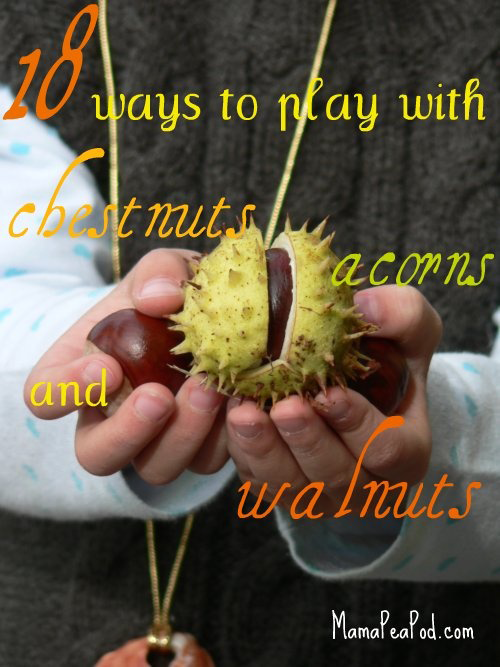 DIY: Autumn Crafts with Conkers – ecogreenlove