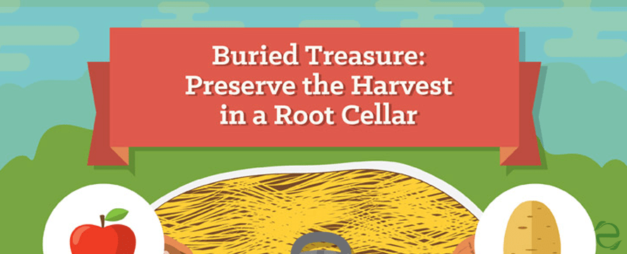 Root Cellar Storage&nbsp;[Infographic]