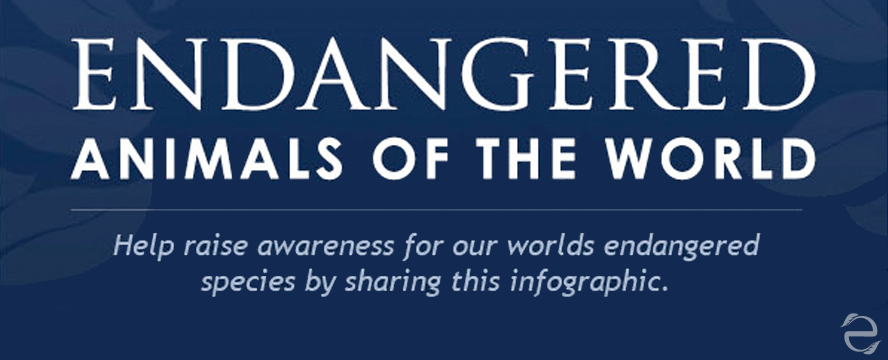 Endangered animals of the world [Infographic] | ecogreenlove