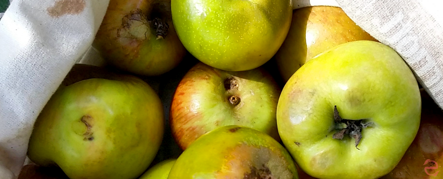 Reblogged: How to Eat Apples Nose to&nbsp;Tail