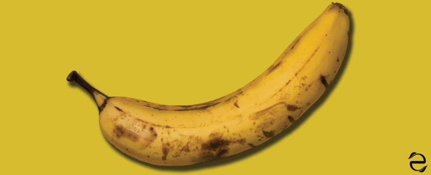 Green Documentaries: Just Eat&nbsp;It