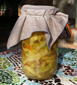 Reblogged: How to Eat Apples Nose to Tail | ecogreenlove