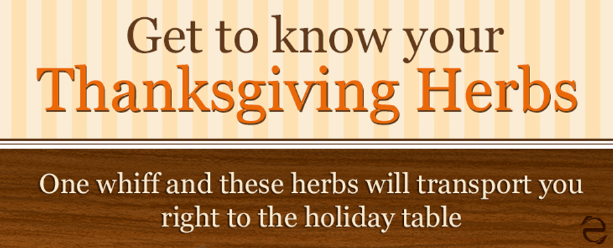 Thanksgiving Herbs [Infographic]