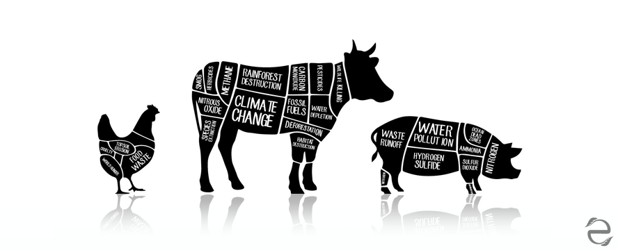 Green Documentaries: Cowspiracy