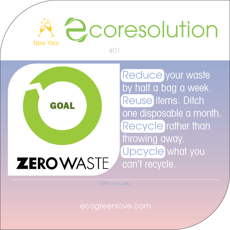 7 Eco Resolutions