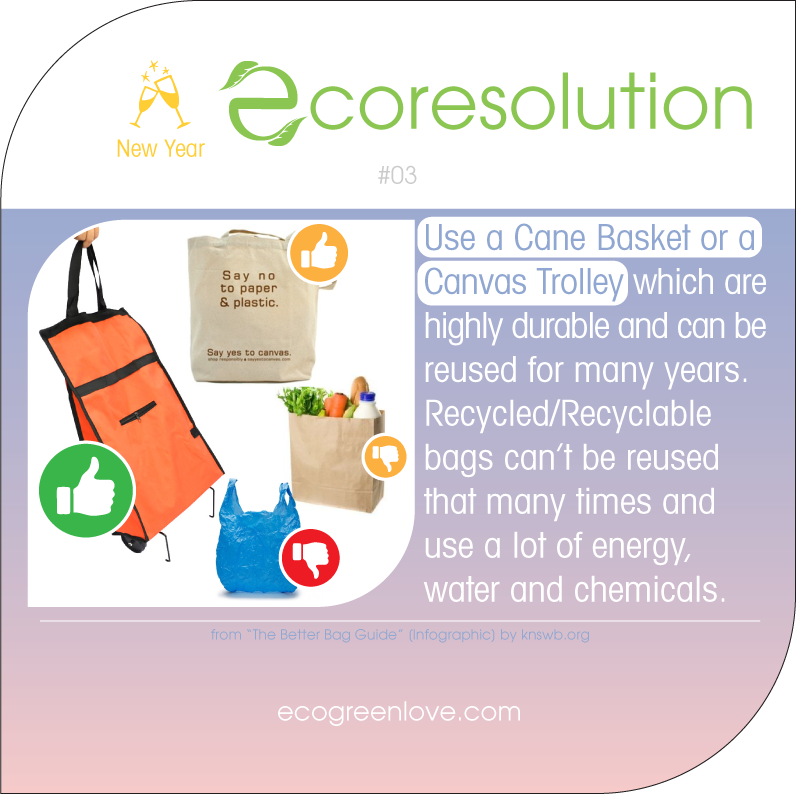 Eco resolutions (no plastic) | ecogreenlove