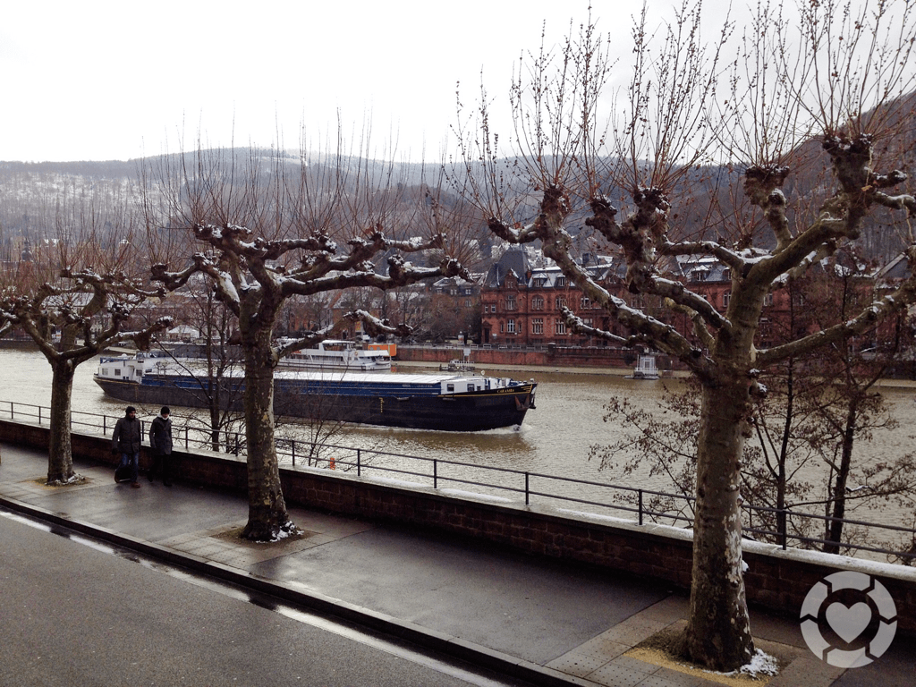 Snowy Heidelberg | ecogreenlove