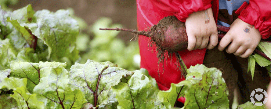 Green Documentaries: Food for Thought, Food for&nbsp;Life