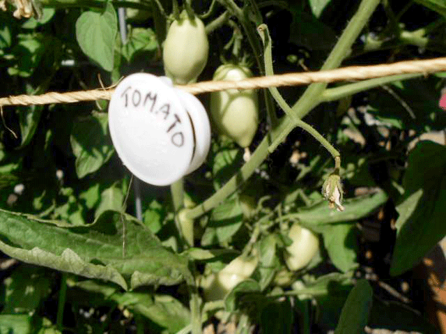 Reusing Plastic Pull Tabs | ecogreenlove