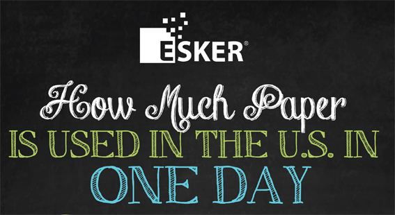 How much Paper is used in the U.S. in 1 Day [Infographic] | ecogreenlove