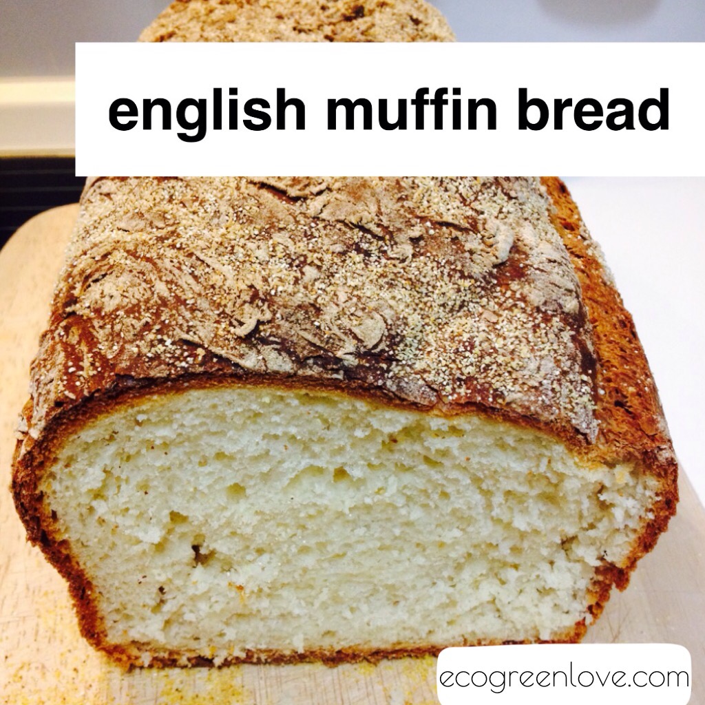 Recipe: English Muffin Bread | ecogreenlove