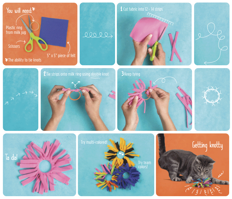 Repurpose plastic bottle Rings | ecogreenlove