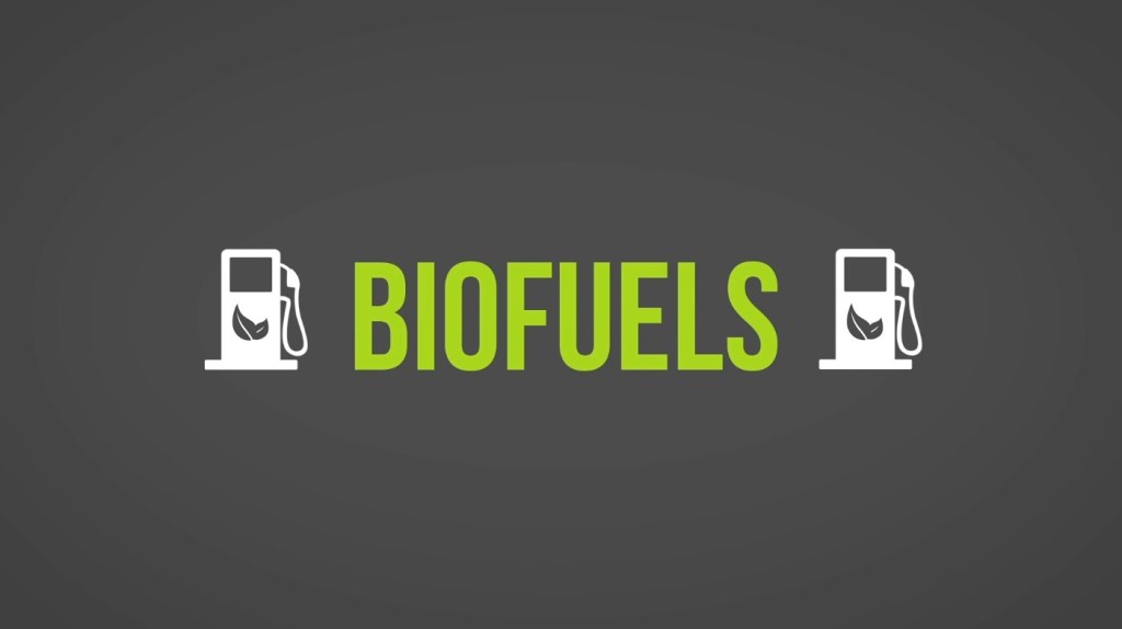 Carbon Neutral, Biofuels + Effects&nbsp;[Videos]