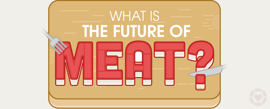 What is the Future of Meat? [Infographic] | ecogreenlove