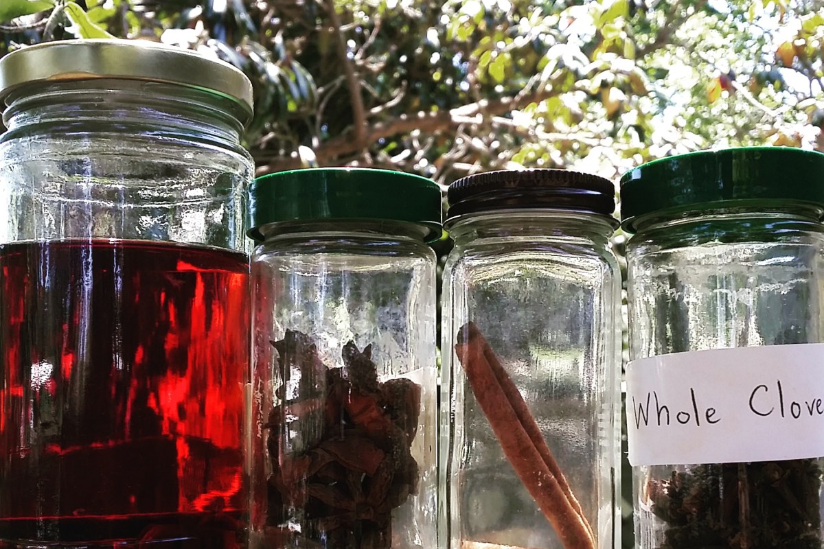 DIY Natural Mouthwash | ecogreenlove