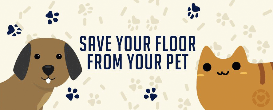 Save your floor from your pets&nbsp;[Infographic]