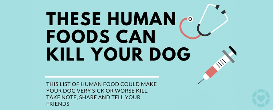 Foods you should NOT give your Dog [Infographic] | ecogreenlove