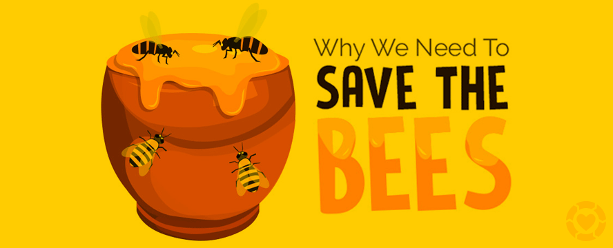 Why we Need to Save the Bees [Infographic] | ecogreenlove
