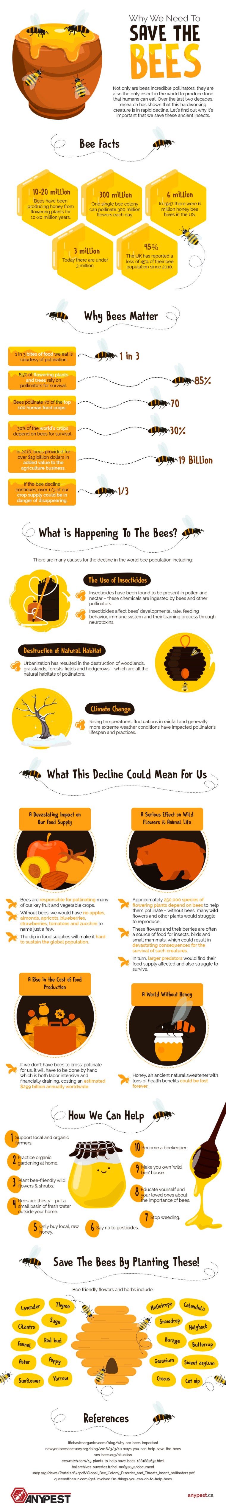 Why we Need to Save the Bees [Infographic] | ecogreenlove