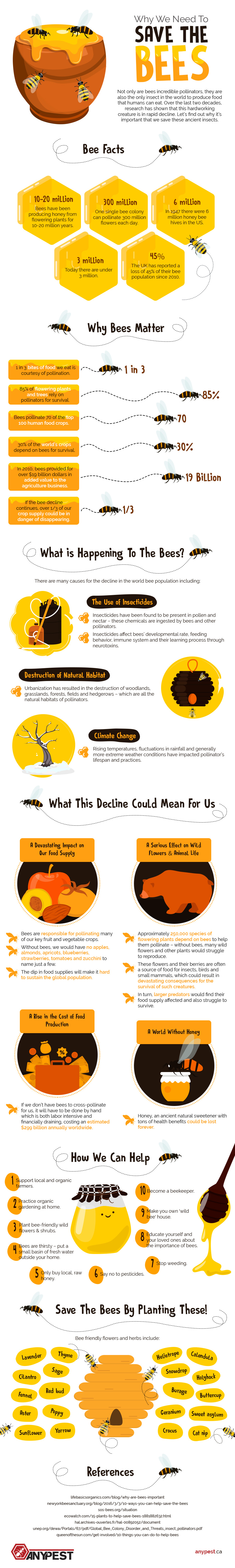 Why we Need to Save the Bees [Infographic] | ecogreenlove