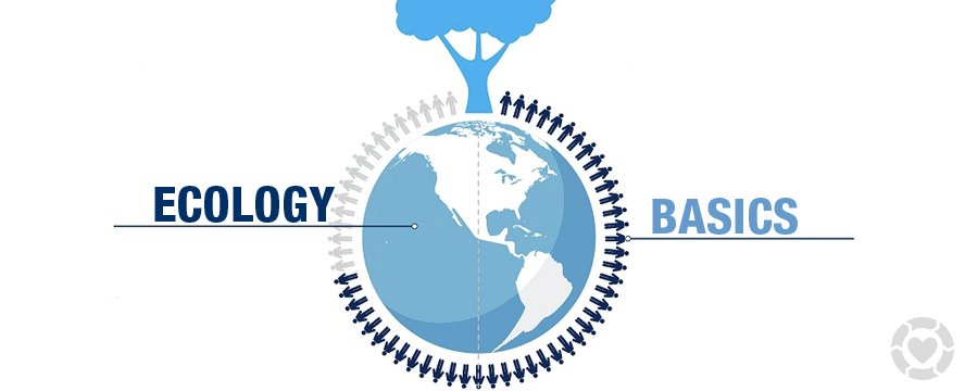 Ecological Basis [Infographic] | ecogreenlove