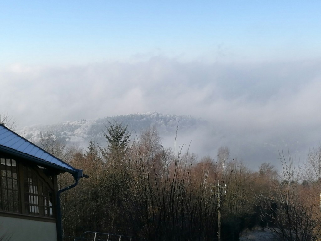 Winter in Heidelberg | ecogreenlove