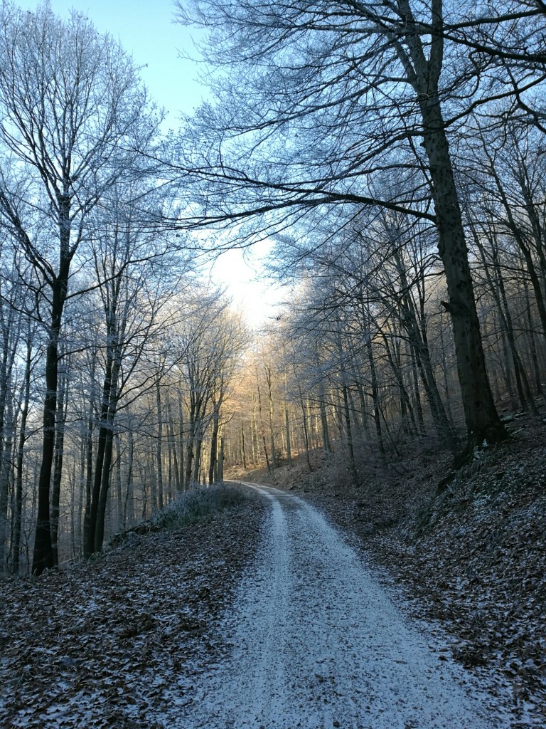 Winter in Heidelberg | ecogreenlove