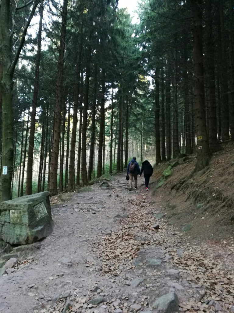 Winter in Heidelberg | ecogreenlove