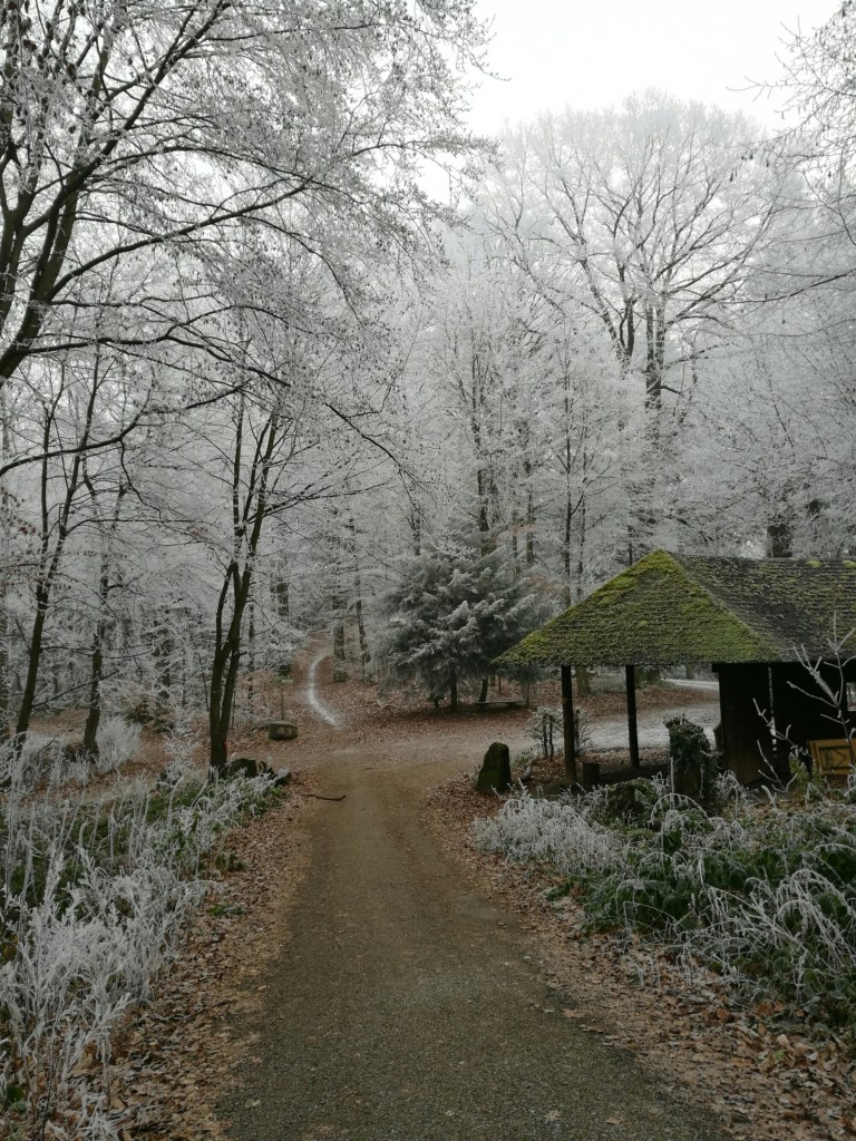 Winter in Heidelberg | ecogreenlove