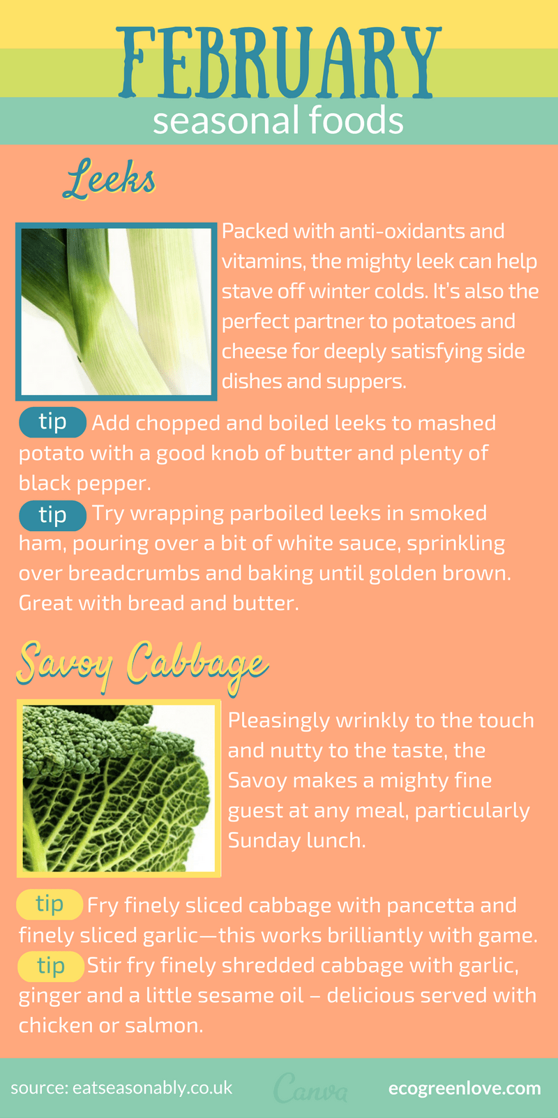 February Seasonal Food [Infographic] | ecogreenlove