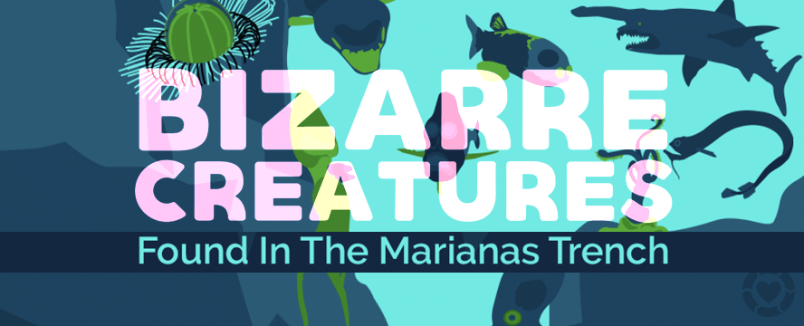 Bizarre Creatures in The Marianas Trench&nbsp;[Infographic]