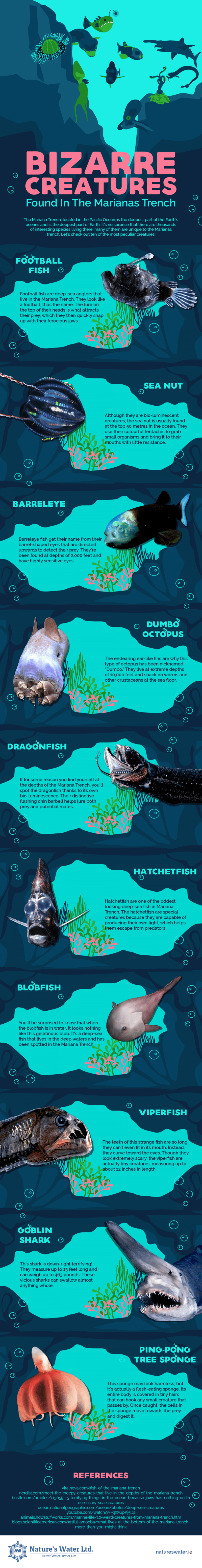 Bizarre Creatures in The Marianas Trench [Infographic] | ecogreenlove