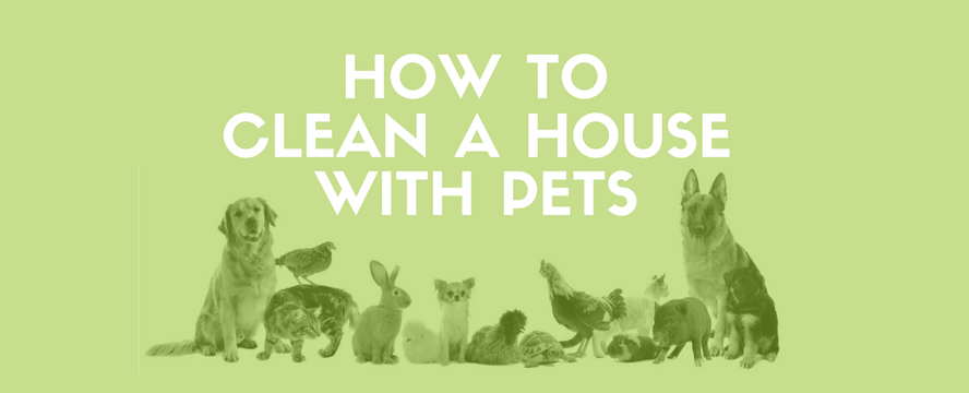 How to clean a House with Pets&nbsp;[Infographic]