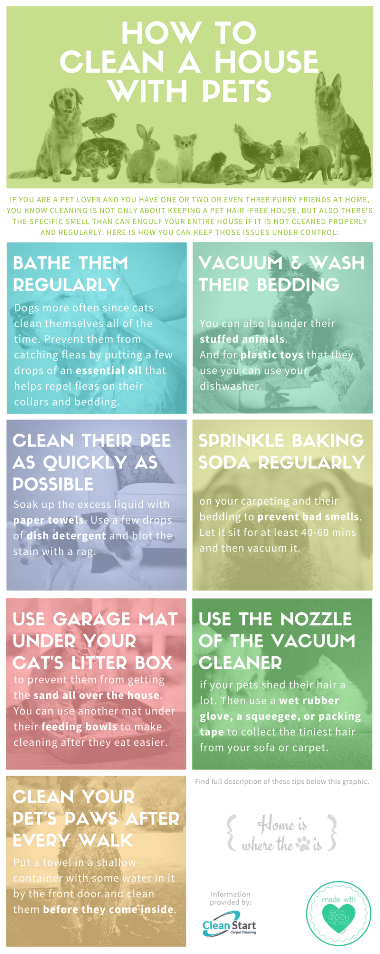 How to clean a House with Pets [Infographic] | ecogreenlove