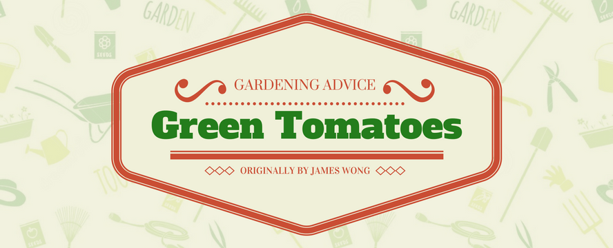 Gardening Tip: Green&nbsp;Tomatoes
