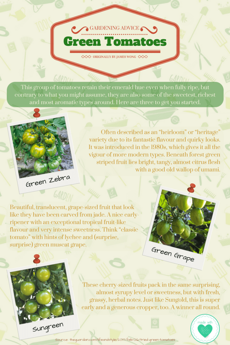 Gardening Tip: Green Tomatoes | ecogreenlove