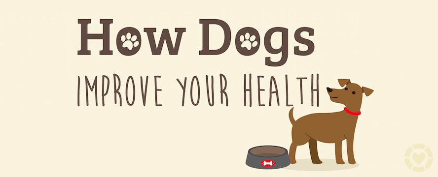 How Dogs improve your Health&nbsp;[Infographic]