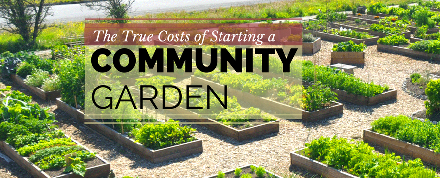 The True Costs of Starting a Community Garden
