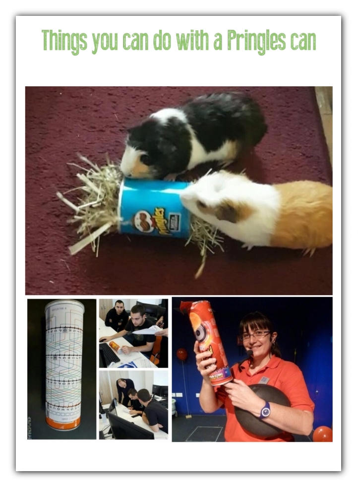 Creative Ways to Repurpose Pringles tube cans | ecogreenlove