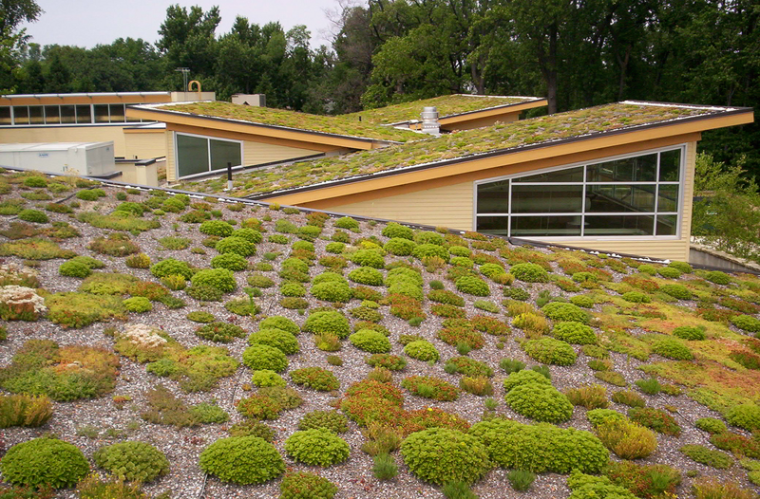 Green Roofs: The Urban Gardens of the Future | ecogreenlove