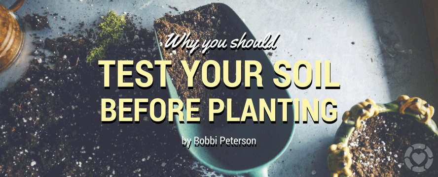 Why you Should Test your Soil before&nbsp;Planting