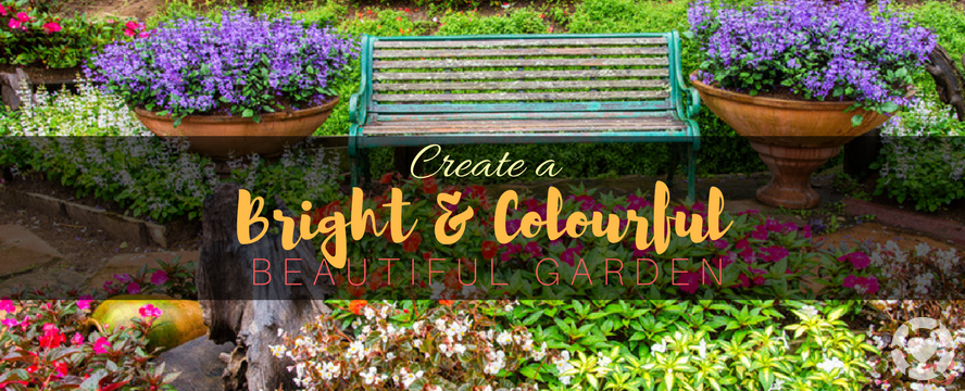 Create a bright Colourful&nbsp;Garden