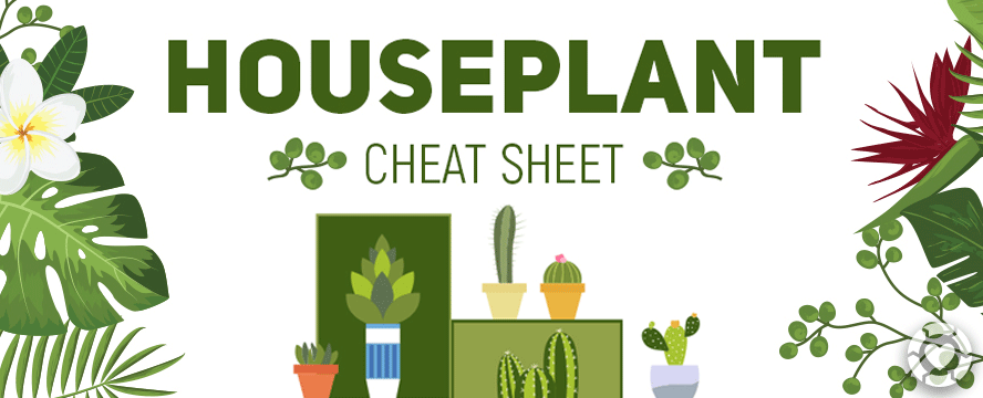 Houseplant [Cheat Sheet]