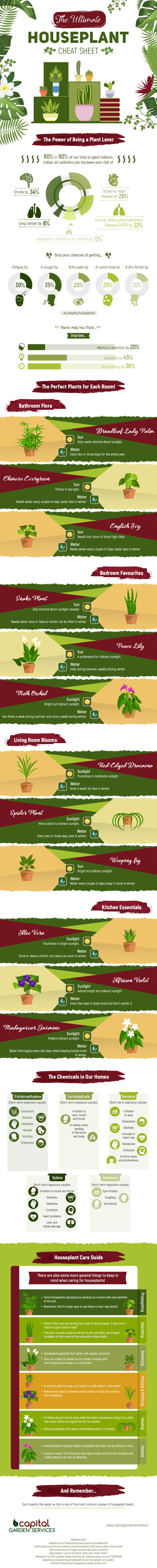 Houseplant Cheat Sheet [Infographic] | ecogreenlove