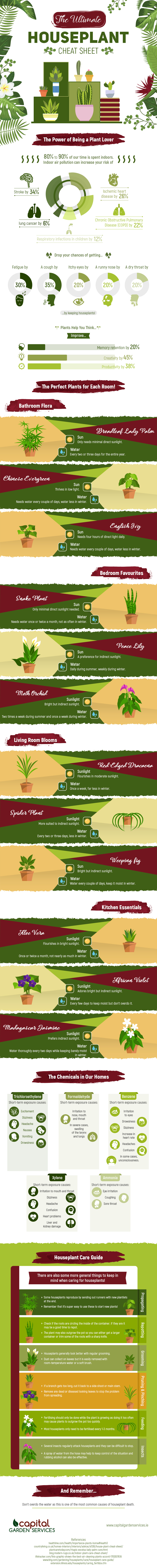 Houseplant Cheat Sheet [Infographic] | ecogreenlove
