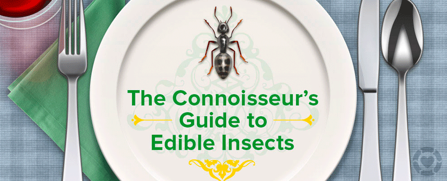 The benefits of Eating Insects [Infographic] | ecogreenlove