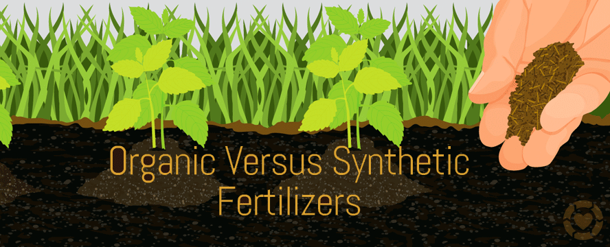 Make your own Homemade Organic Fertilizer [Infographic] | ecogreenlove